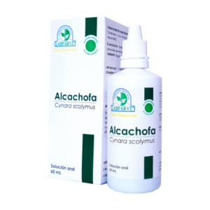 Alcachofa-1